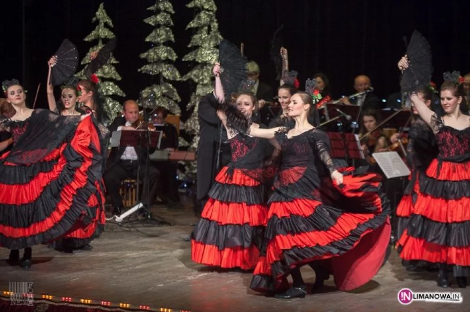 Koncert Noworoczny 2013 - zdjęcie 13