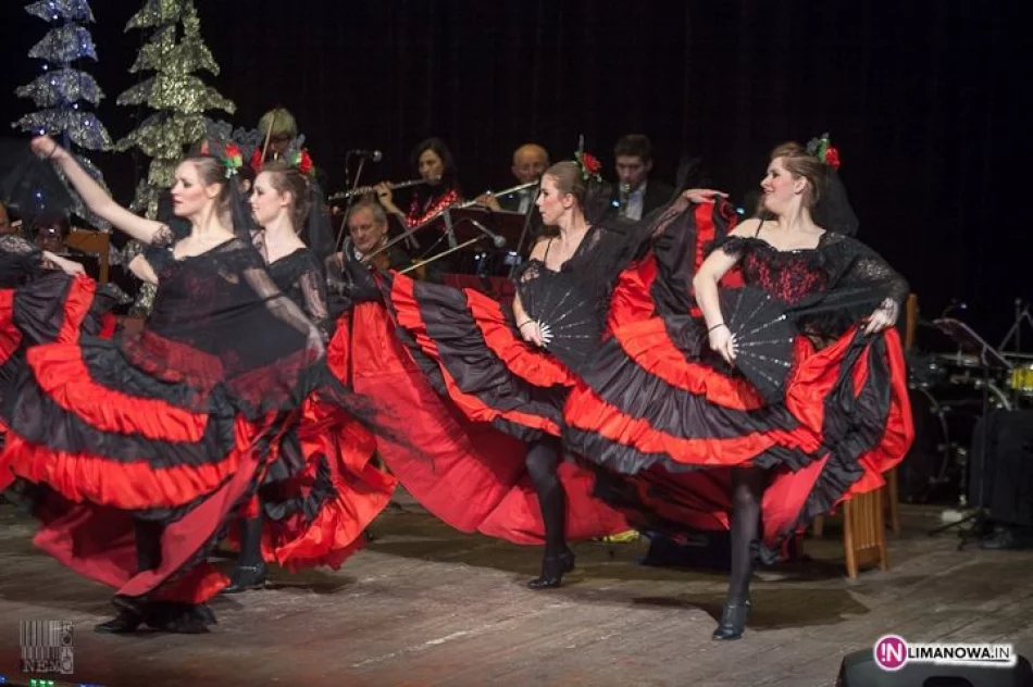 Koncert Noworoczny 2013 - zdjęcie 14