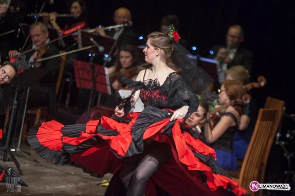 Koncert Noworoczny 2013 - zdjęcie 15