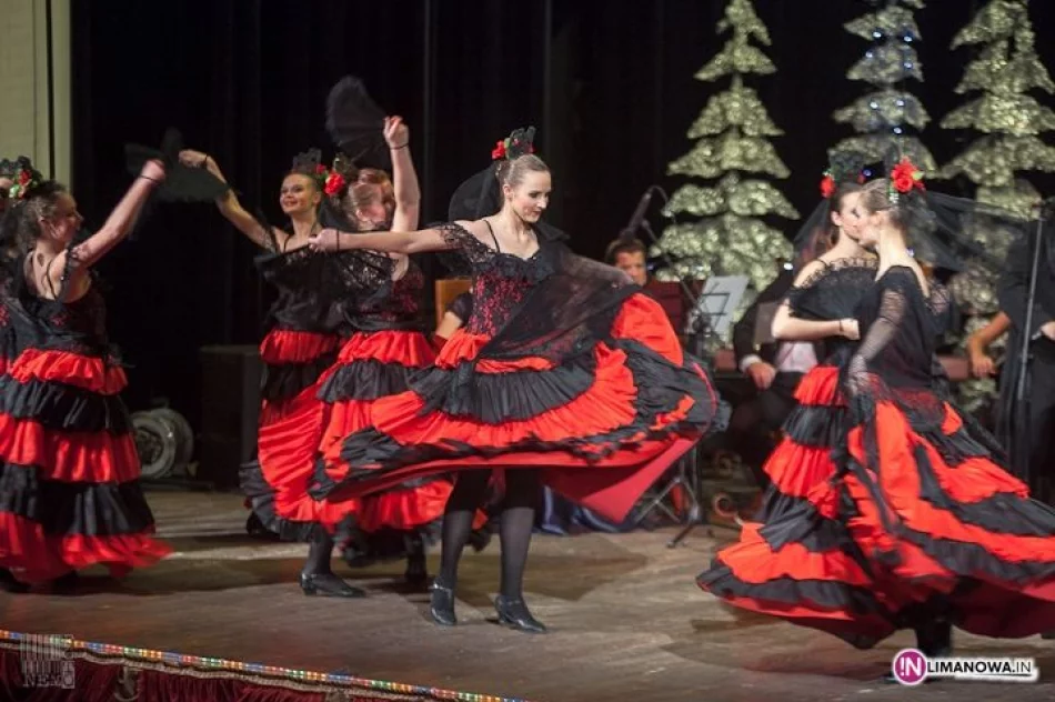 Koncert Noworoczny 2013 - zdjęcie 16