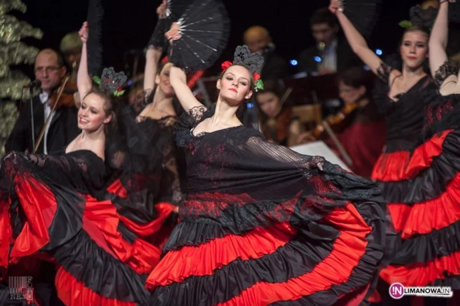 Koncert Noworoczny 2013 - zdjęcie 18