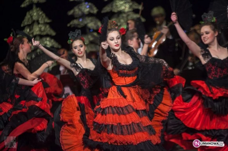 Koncert Noworoczny 2013 - zdjęcie 19