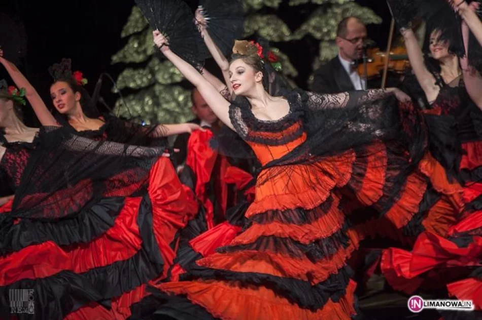 Koncert Noworoczny 2013 - zdjęcie 20