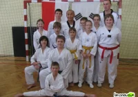 Wywalczyli medale: dwa złote, trzy srebrne i dwa brązowe - zdjęcie główne