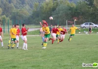 Sokół obniżył loty i spadł - zdjęcie główne