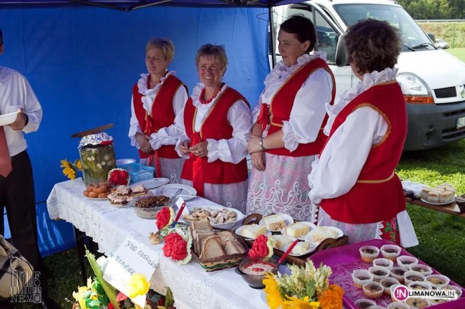 IV Festiwal Śliwki, Miodu i Sera - zdjęcie 6
