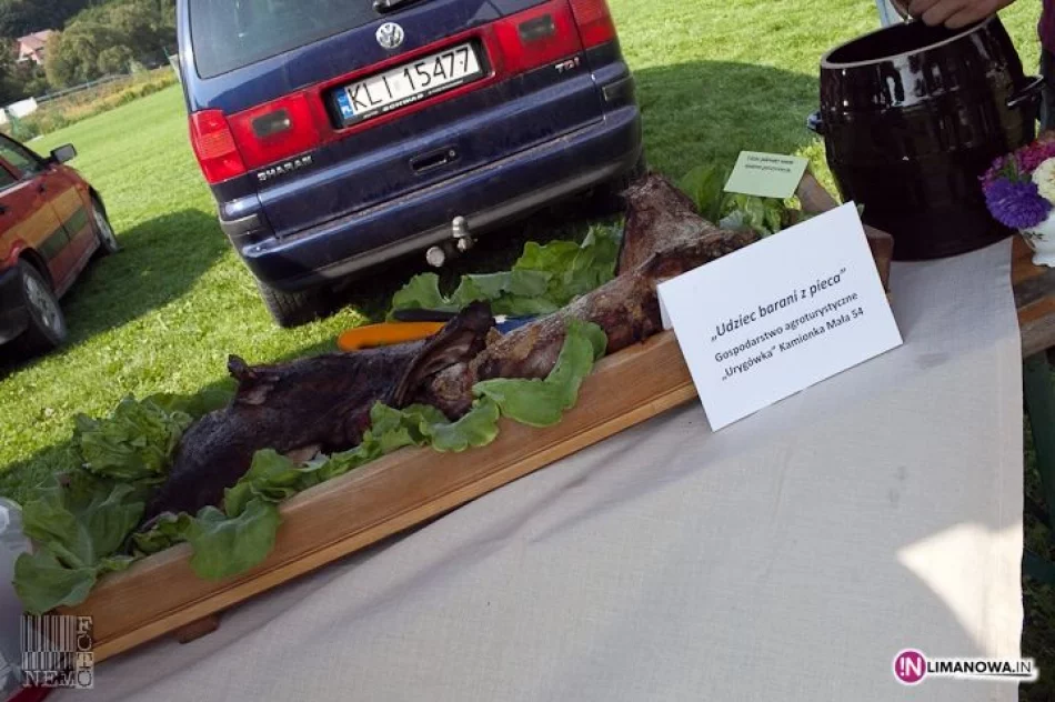 IV Festiwal Śliwki, Miodu i Sera - zdjęcie 11