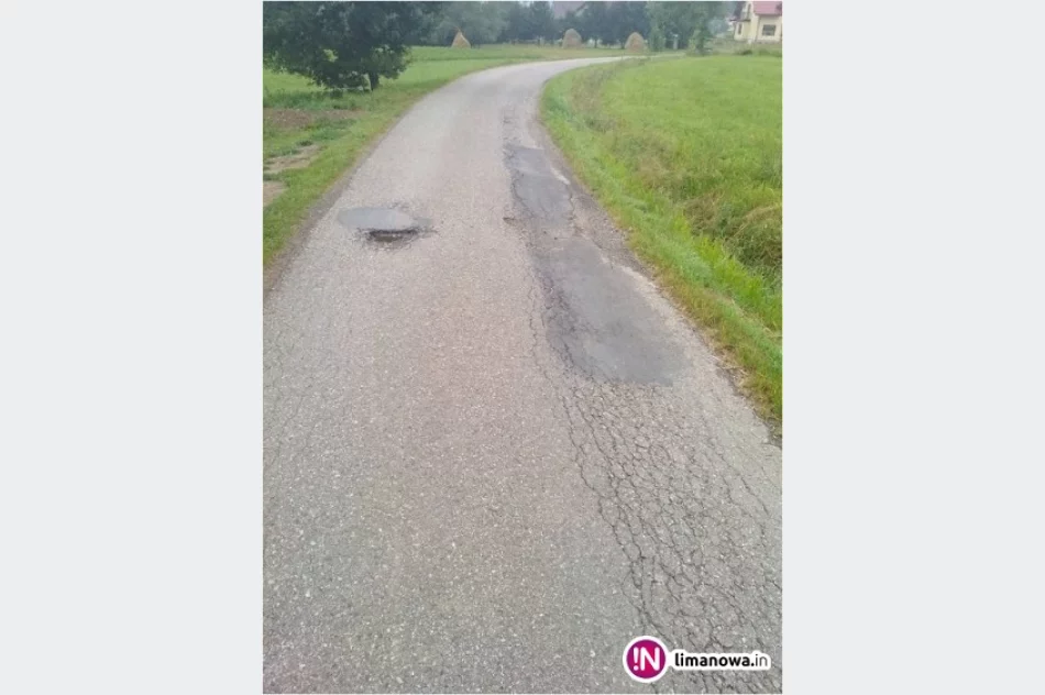 316 tys. zł na remont drogi łączącej dwie miejscowości - zdjęcie 3