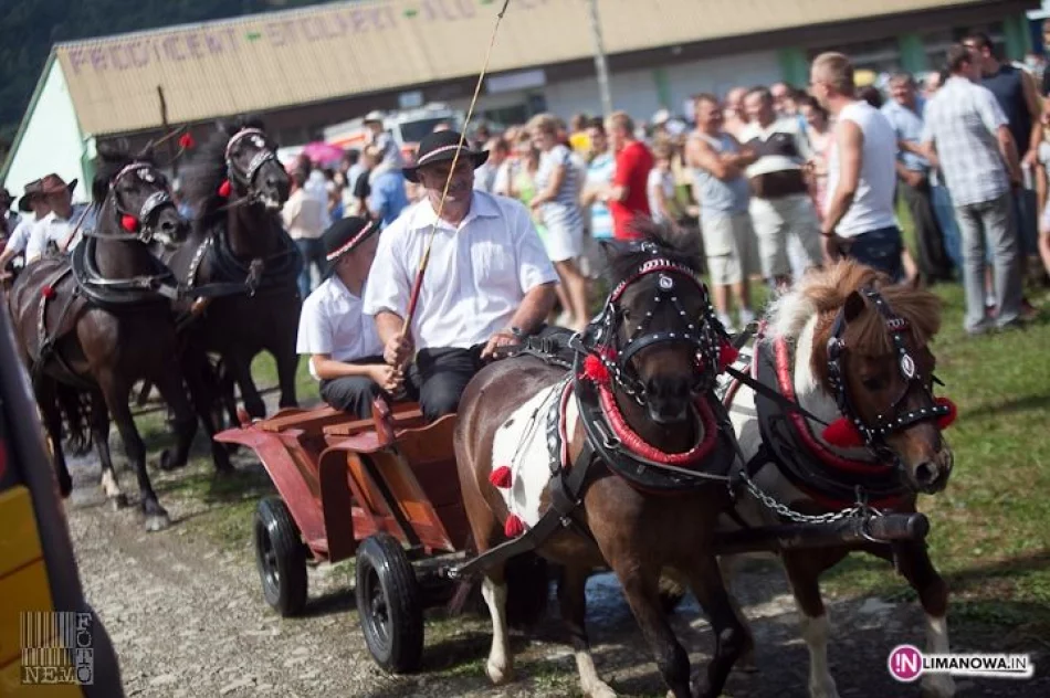 IV Amatorski Konkurs Zręczności Powożenia Zaprzęgami - zdjęcie 2