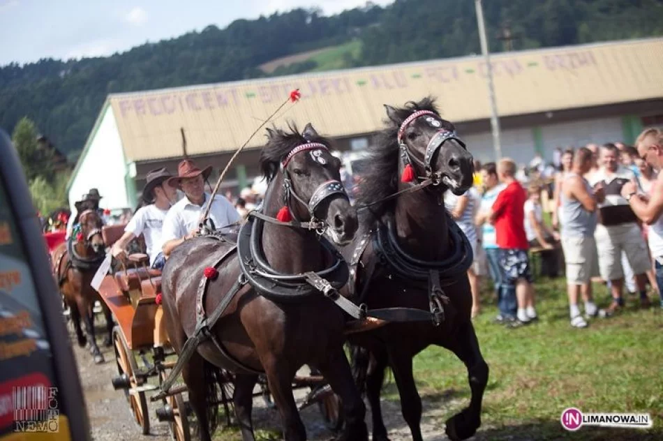 IV Amatorski Konkurs Zręczności Powożenia Zaprzęgami - zdjęcie 4
