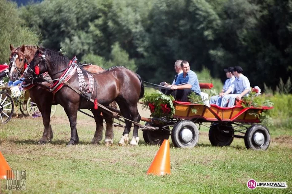 IV Amatorski Konkurs Zręczności Powożenia Zaprzęgami - zdjęcie 8