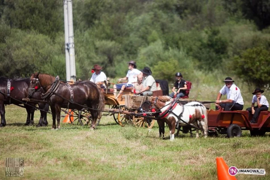 IV Amatorski Konkurs Zręczności Powożenia Zaprzęgami - zdjęcie 9