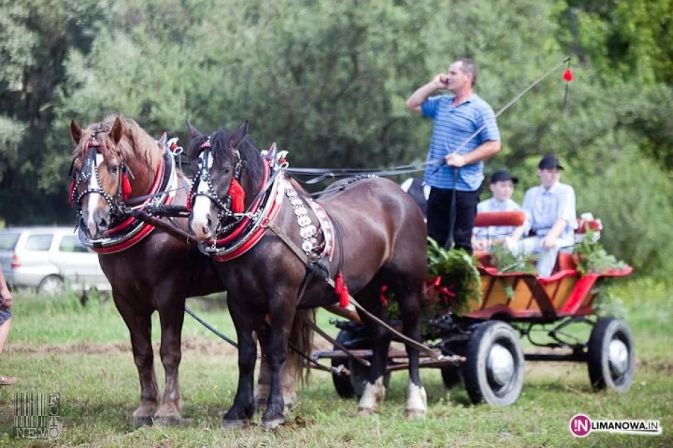 IV Amatorski Konkurs Zręczności Powożenia Zaprzęgami - zdjęcie 12