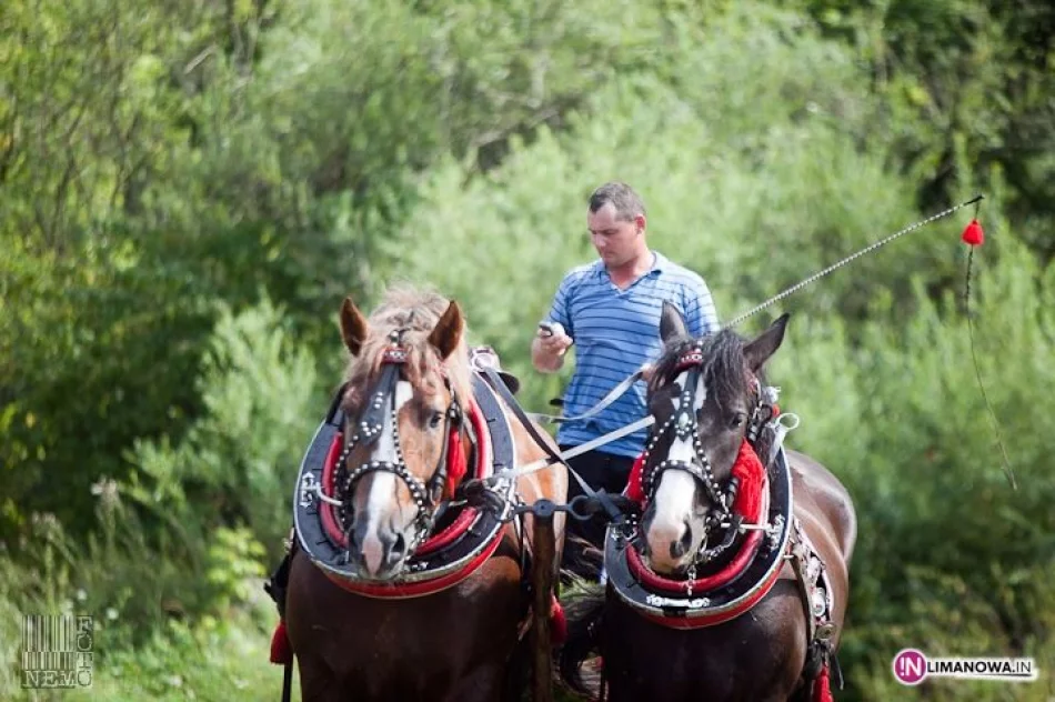 IV Amatorski Konkurs Zręczności Powożenia Zaprzęgami - zdjęcie 13