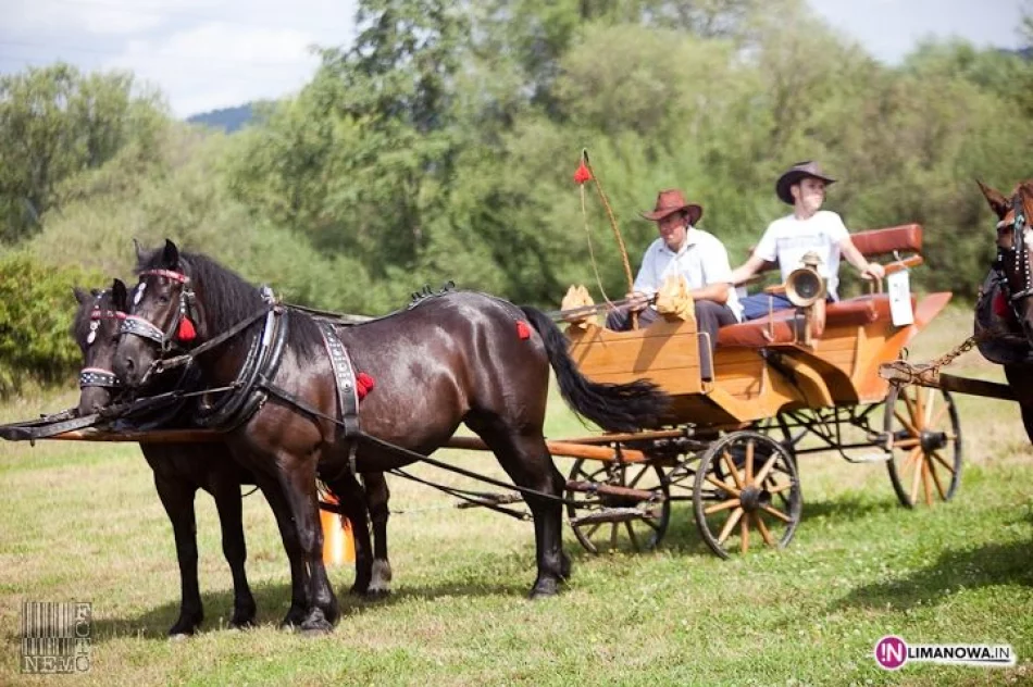 IV Amatorski Konkurs Zręczności Powożenia Zaprzęgami - zdjęcie 14