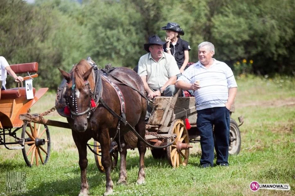 IV Amatorski Konkurs Zręczności Powożenia Zaprzęgami - zdjęcie 15