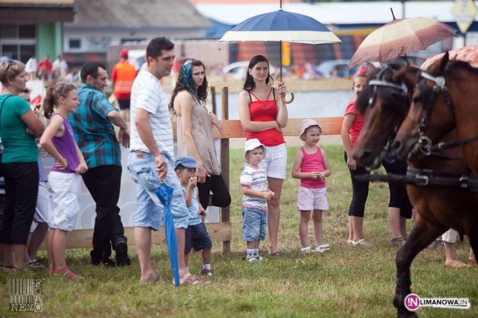 IV Amatorski Konkurs Zręczności Powożenia Zaprzęgami - zdjęcie 19