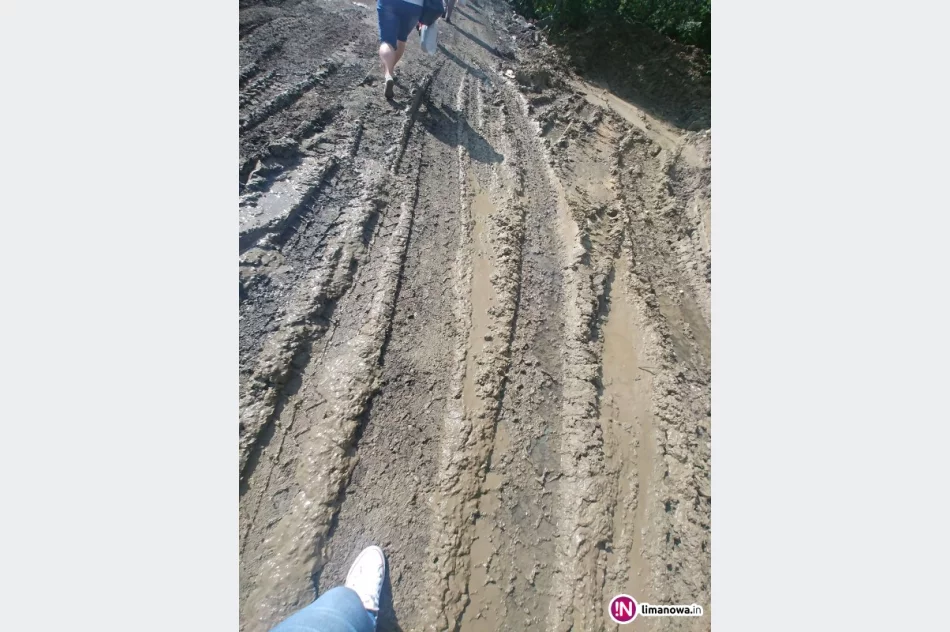 Piesi grzęzną w błocie - zdjęcie 2