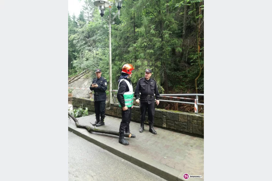 Komendant główny straży odwiedził zniszczone tereny - zdjęcie 3