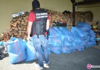 Zabezpieczono 700 kg krajanki tytoniowej oraz ponad 48 tys. sztuk nielegalnych papierosów - zdjęcie główne