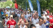 Limanowa Forrest – fenomen czy narkotyk?? - zdjęcie 1