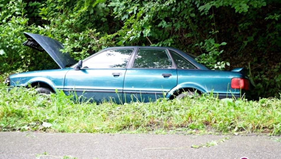 Auto wjechało do rowu, dwoje dzieci trafiło do szpitala - zdjęcie 1