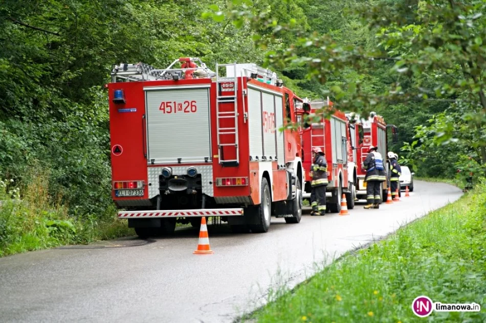 Auto wjechało do rowu, dwoje dzieci trafiło do szpitala - zdjęcie 2