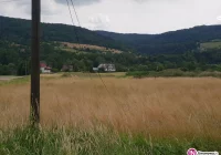 Od blisko dwóch tygodni nie mają dostępu do telefonu - zdjęcie główne