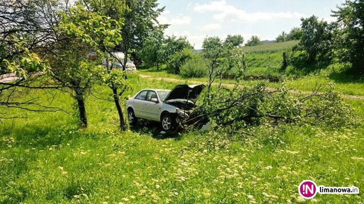 Samochód uderzył w drzewo, jedna osoba trafiła do szpitala (wideo)