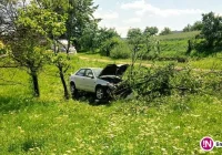 Samochód uderzył w drzewo, jedna osoba trafiła do szpitala (wideo) - zdjęcie główne