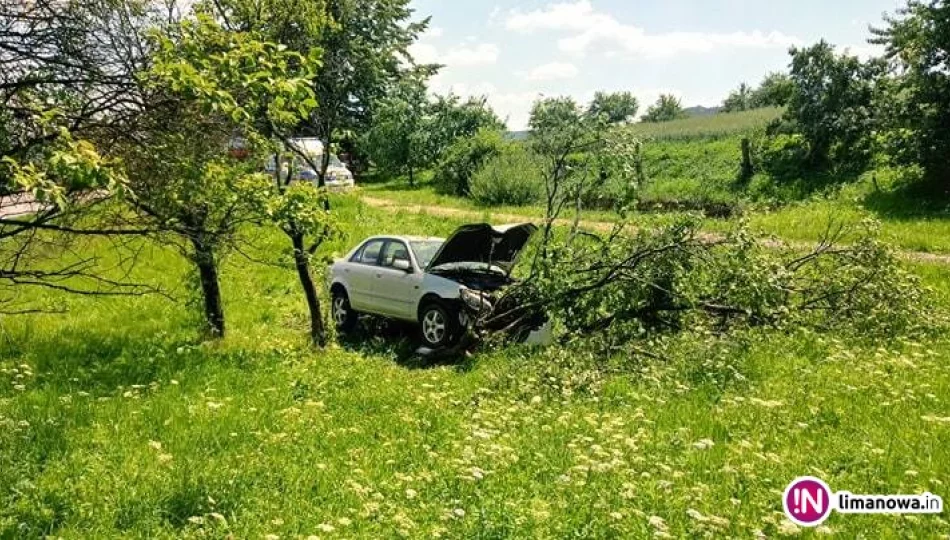 Samochód uderzył w drzewo, jedna osoba trafiła do szpitala (wideo) - zdjęcie 1