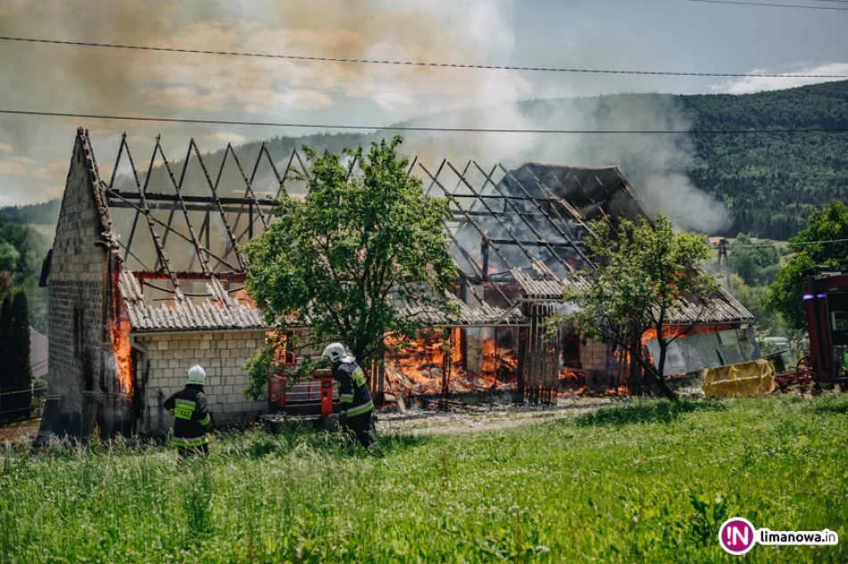 13 zastępów straży pożarnej gasiło pożar budynku gospodarczego (wideo) - zdjęcie 2