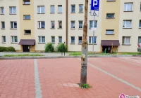 Fotointerwencja: miejsce parkingowe dla... latarni - zdjęcie główne