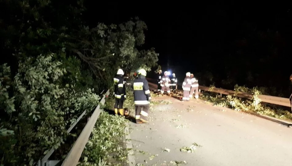 Pięć nocnych interwencji - powalone drzewa i zalana piwnica - zdjęcie 1