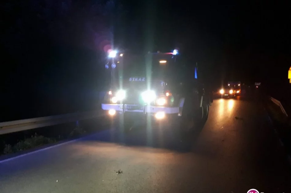 Pięć nocnych interwencji - powalone drzewa i zalana piwnica - zdjęcie 2