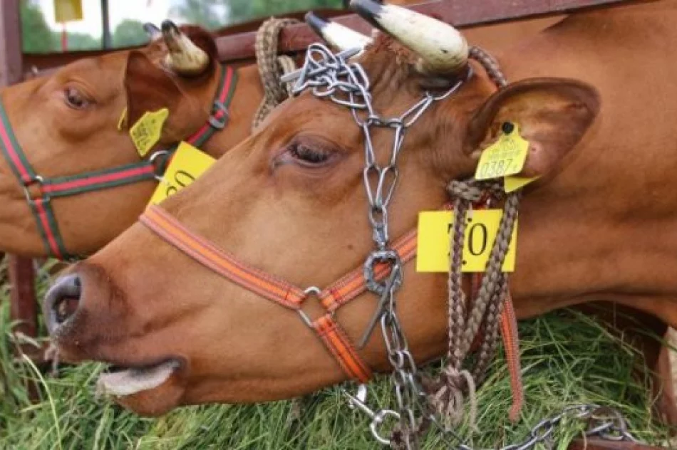 Wyróżnione gospodarstwa rolne - zdjęcie 2