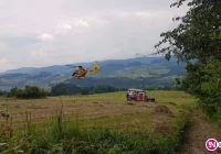 Na szlaku 6-latka ukąsiła żmija. Na pomoc GOPR i LPR - zdjęcie główne