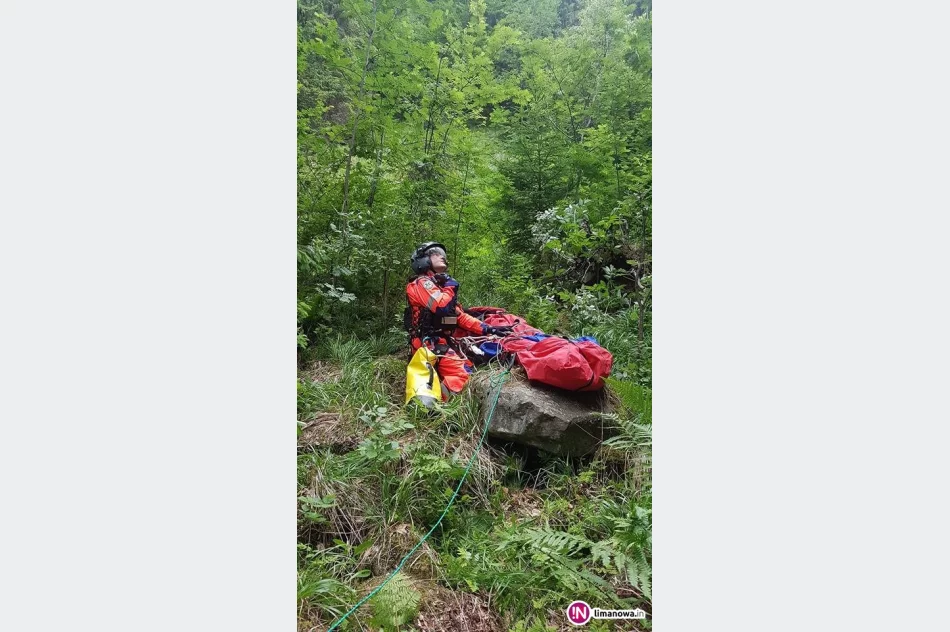 Na szlaku 6-latka ukąsiła żmija. Na pomoc GOPR i LPR - zdjęcie 2