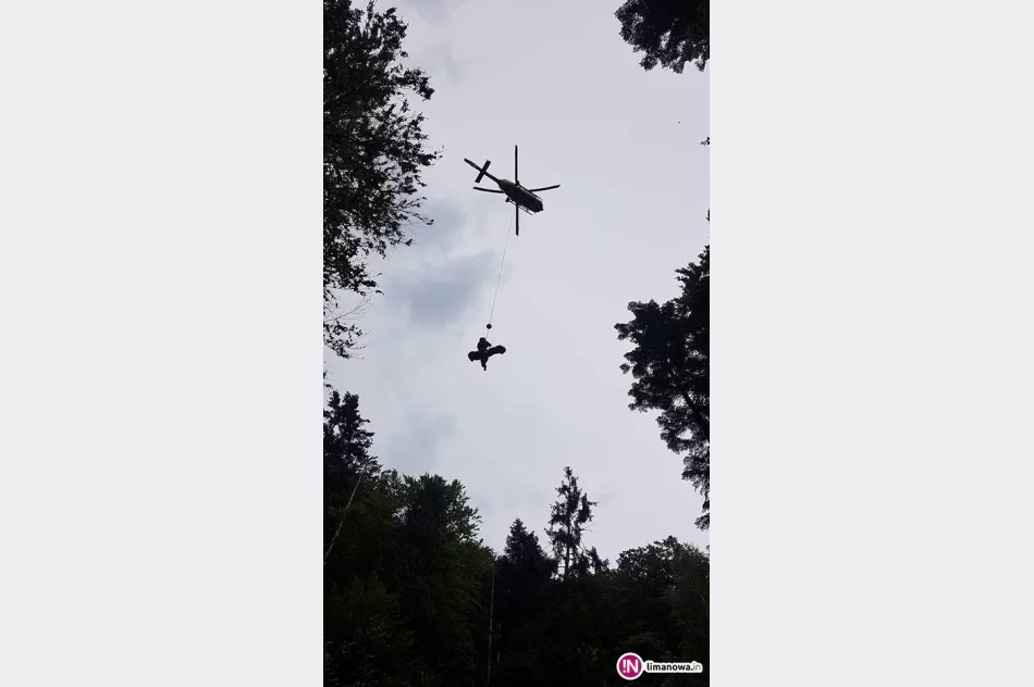 Na szlaku 6-latka ukąsiła żmija. Na pomoc GOPR i LPR - zdjęcie 3