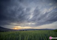 Meteorolodzy ostrzegają: burze i grad - drugi stopień zagrożenia - zdjęcie główne