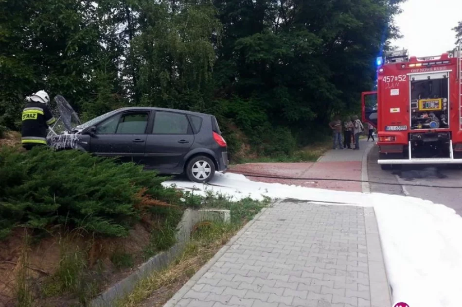 Przyczyną pożaru auta zwarcie instalacji - zdjęcie 2