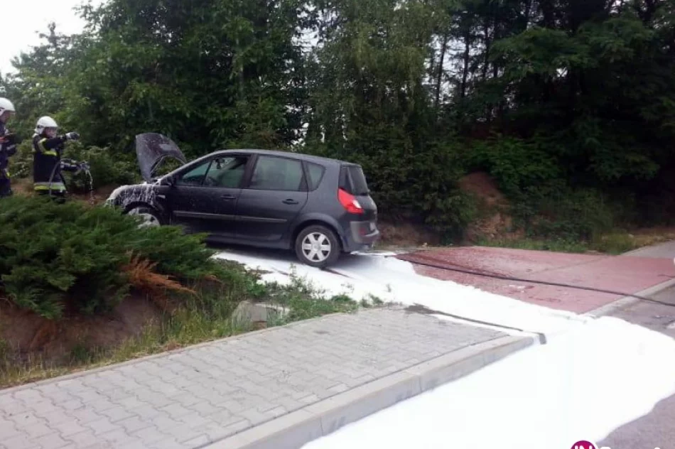 Przyczyną pożaru auta zwarcie instalacji - zdjęcie 3