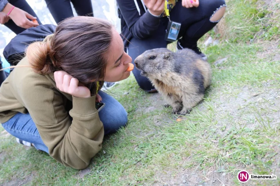 Alpejska przygoda Orkantour - zdjęcie 4