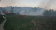 Kolejny pożar traw w Bieczu - zdjęcie 1