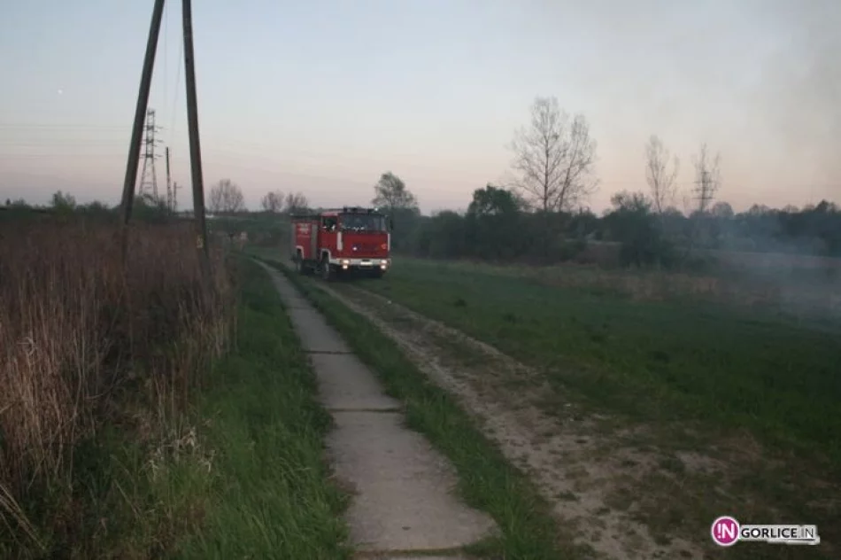 Pożar traw w Bieczu - zdjęcie 2