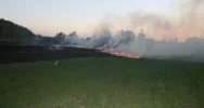 Kolejny pożar traw w Bieczu - zdjęcie 4
