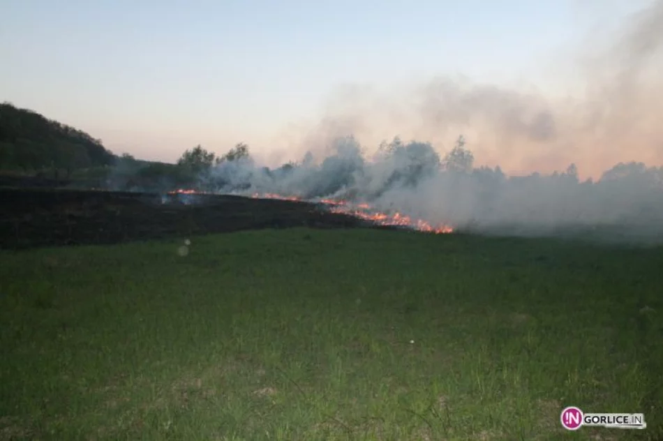 Pożar traw w Bieczu - zdjęcie 4