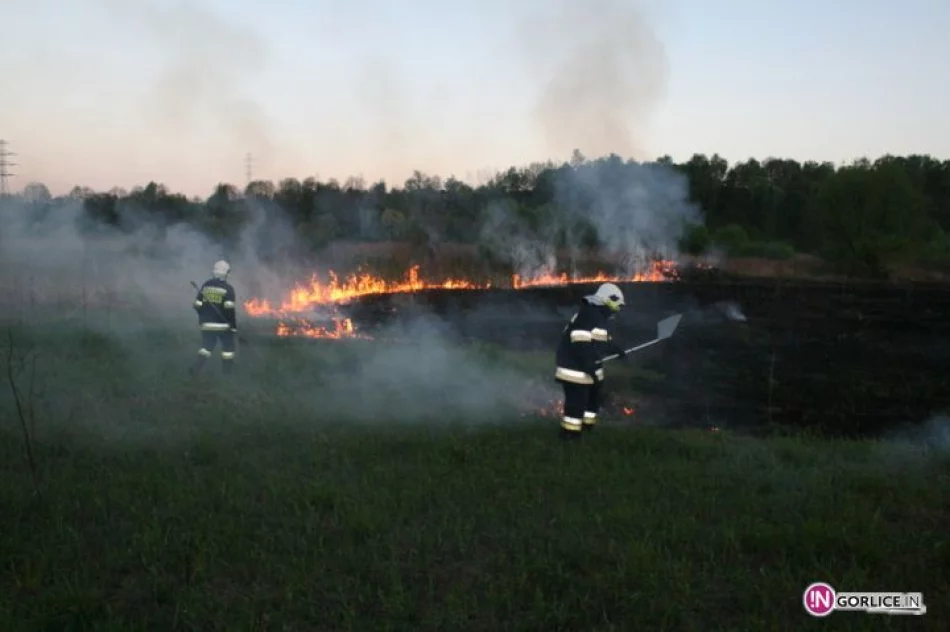 Pożar traw w Bieczu - zdjęcie 5