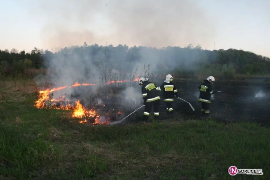 Pożar traw w Bieczu - zdjęcie 6