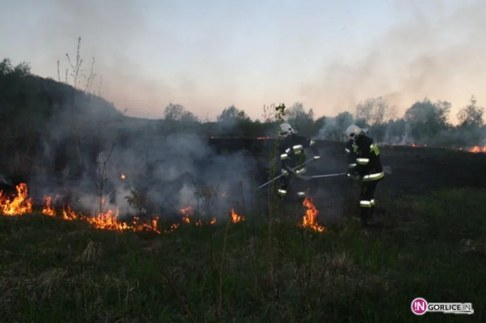 Pożar traw w Bieczu - zdjęcie 7